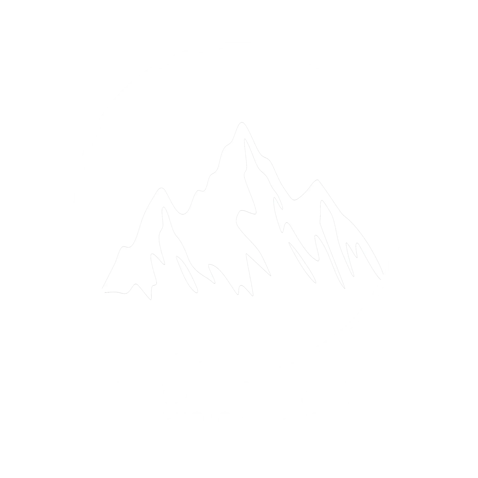 Luca Widmer Photography LOGO